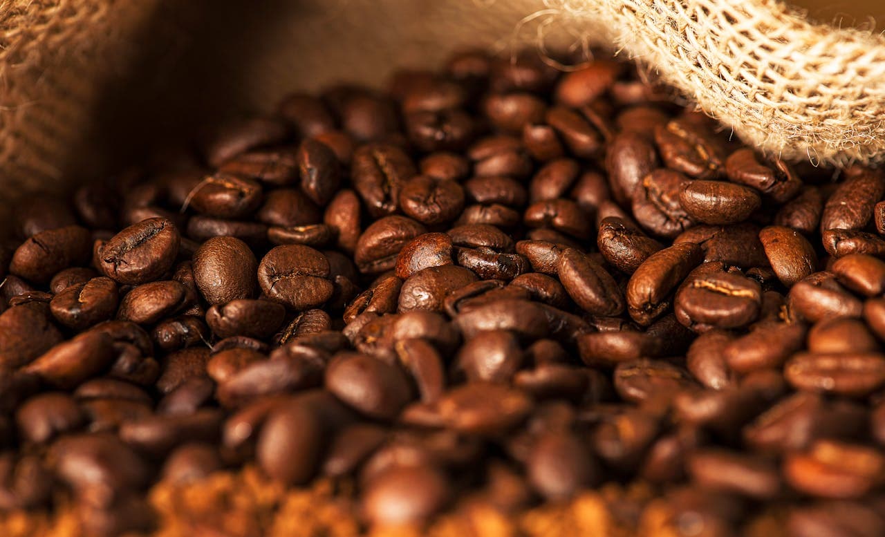 Arabica vs Robusta : Lequel est vraiment le meilleur ?